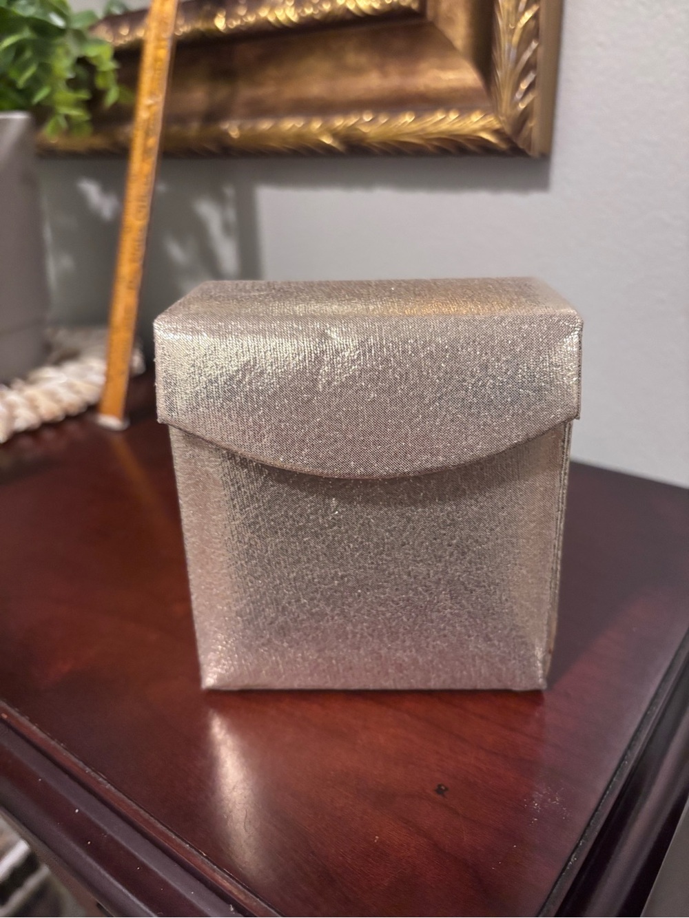Kelly & Katie Metallic Champagne Jewelry Travel Box